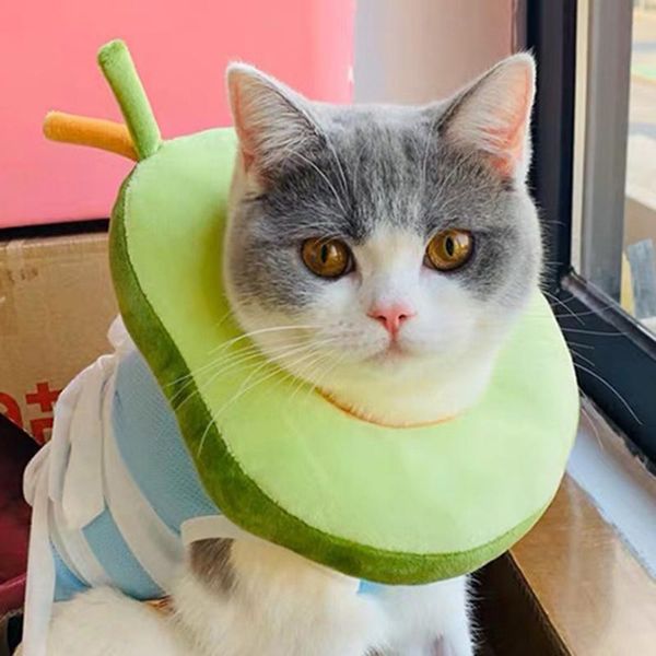 cat collars & leads cotton adjustable bread avocado shaped pet protective collar dog neck cone recovery anti-bite wound healing
cat collars & leads cotton adjustable bread avocado shaped pet protective collar dog neck cone recovery anti-bite wound healing