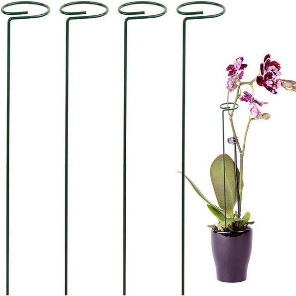 other garden supplies 5pcs/set support stake ring metal plant supports single stem shrub holder for plants rose flowers vegetables vine
other garden supplies 5pcs/set support stake ring metal plant supports single stem shrub holder for plants rose flowers vegetables vine
