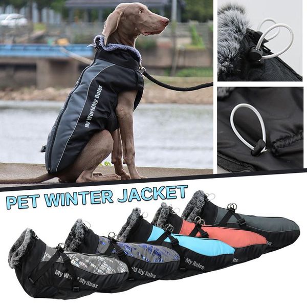 dog apparel autumn and winter 2021 waterproof clothes for reflective large dogs harness coat with fur collar thick warm hoodies
dog apparel autumn and winter 2021 waterproof clothes for reflective large dogs harness coat with fur collar thick warm hoodies
