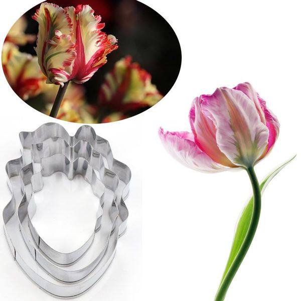 cake tools tulip tulipa 3pcs stainless stell cookie cutter pastry & biscuit baking decorating cupcake mold fondant
cake tools tulip tulipa 3pcs stainless stell cookie cutter pastry & biscuit baking decorating cupcake mold fondant