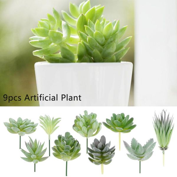 artificial green succulent plants fake diy home garden office wedding decoration mini bonsai plante artificielle decorative flowers & wreath
artificial green succulent plants fake diy home garden office wedding decoration mini bonsai plante artificielle decorative flowers & wreath