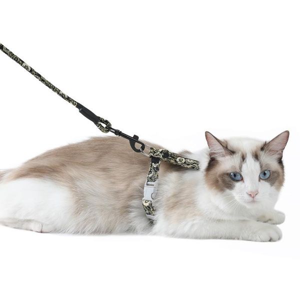 cat collars & leads hand holding rope vest-style h-shaped chest strap set round nylon japanese style
cat collars & leads hand holding rope vest-style h-shaped chest strap set round nylon japanese style