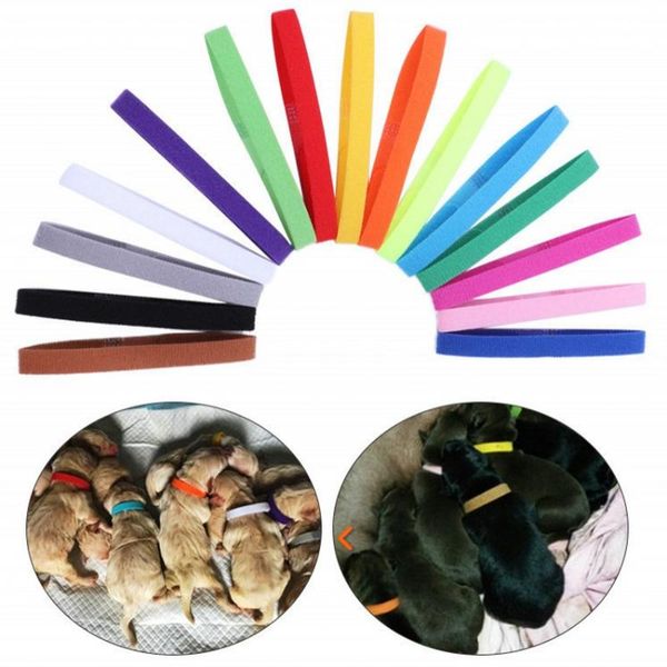 dog collars & leashes 12/15pcs cat puppy identification collar adjustable nylon id necklace for small pet kitten supplies
dog collars & leashes 12/15pcs cat puppy identification collar adjustable nylon id necklace for small pet kitten supplies