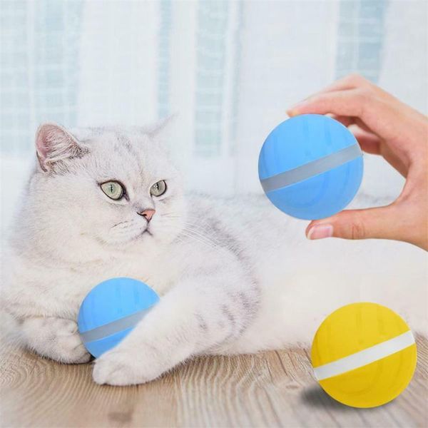 cat toys electric magic roller ball puppy dog automatic playmate jumping pet toy din889
cat toys electric magic roller ball puppy dog automatic playmate jumping pet toy din889