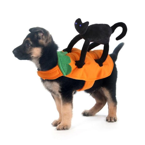 cat costumes halloween pet dog funny black image design cosplay flannel coat jacket clothing s/m/l/xl size
cat costumes halloween pet dog funny black image design cosplay flannel coat jacket clothing s/m/l/xl size