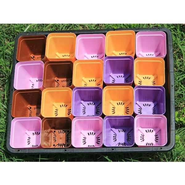 40# 20 cells gardening mini breathable lids plastic germination box nursery pots seedling tray garden yard seed grows boxes planters &
40# 20 cells gardening mini breathable lids plastic germination box nursery pots seedling tray garden yard seed grows boxes planters &