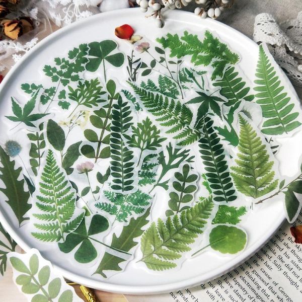 gift wrap 40pcs/lot colorful flower leaf series decorative journal stickers plant scrapbooking sticker label diary planner
gift wrap 40pcs/lot colorful flower leaf series decorative journal stickers plant scrapbooking sticker label diary planner