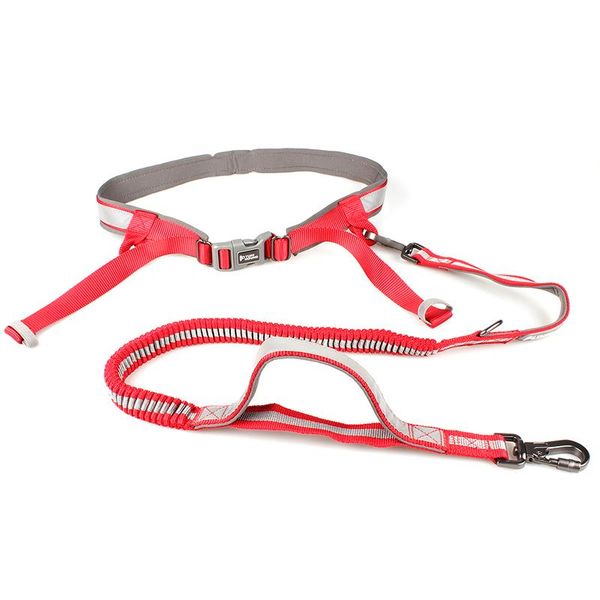 dog collars & leashes explosion proof elastic nylon pet running traction rope walking belt
dog collars & leashes explosion proof elastic nylon pet running traction rope walking belt