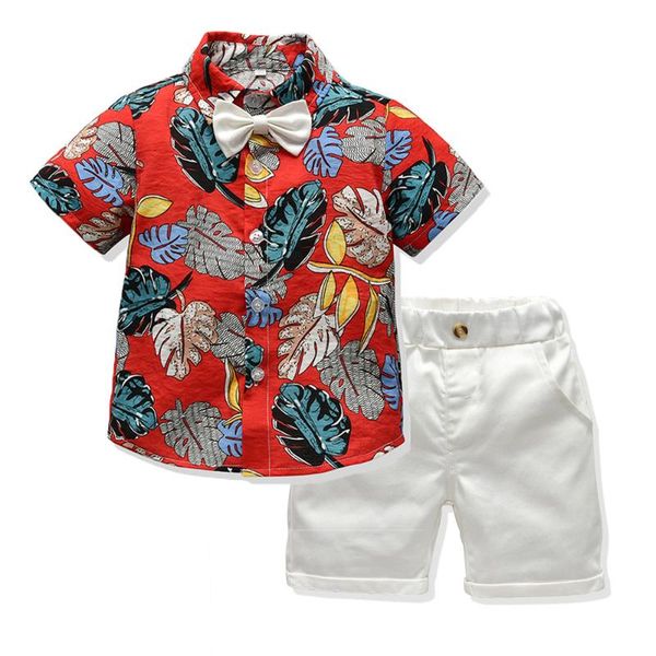 clothing sets baby boy clothes gentleman t-shirt+shorts 2pc children set summer outfits kids formal costume for 2-6 years, White
clothing sets baby boy clothes gentleman t-shirt+shorts 2pc children set summer outfits kids formal costume for 2-6 years, White