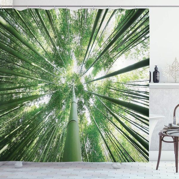 shower curtains bamboo curtain tropical rain forest tall trees in grove exotic style nature theme image polyester fabric bathroom
shower curtains bamboo curtain tropical rain forest tall trees in grove exotic style nature theme image polyester fabric bathroom
