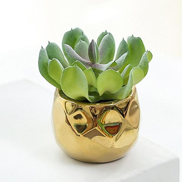 decorative flowers & wreaths simulation succulent pvc artificial plant portable wide application useful faux succulents mini potted
decorative flowers & wreaths simulation succulent pvc artificial plant portable wide application useful faux succulents mini potted