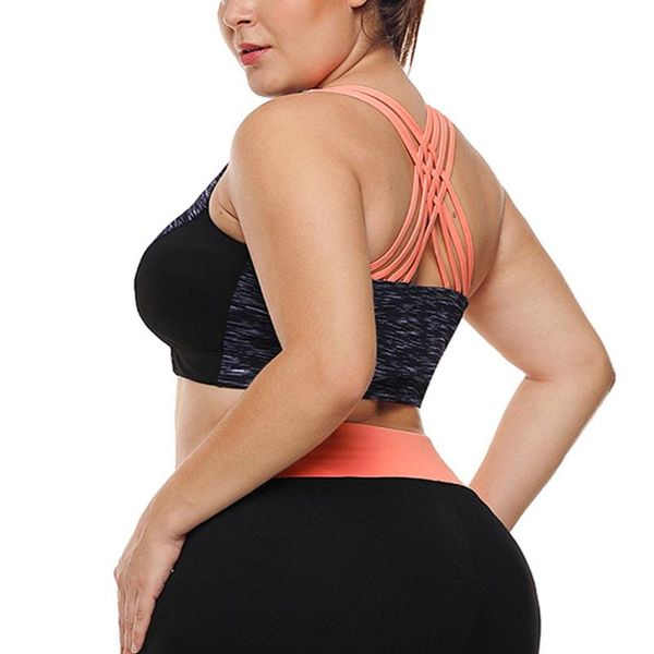 gym clothing plus size 3xl sports bras woman wholesale clothes crop seamless workout yoga tight fitness running paded vest b55, White;black
gym clothing plus size 3xl sports bras woman wholesale clothes crop seamless workout yoga tight fitness running paded vest b55, White;black