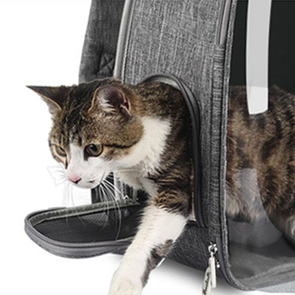 bubble window lightweight pet carrier backpack multifunctional for dogs cats e8bd cat carriers,crates & houses
bubble window lightweight pet carrier backpack multifunctional for dogs cats e8bd cat carriers,crates & houses