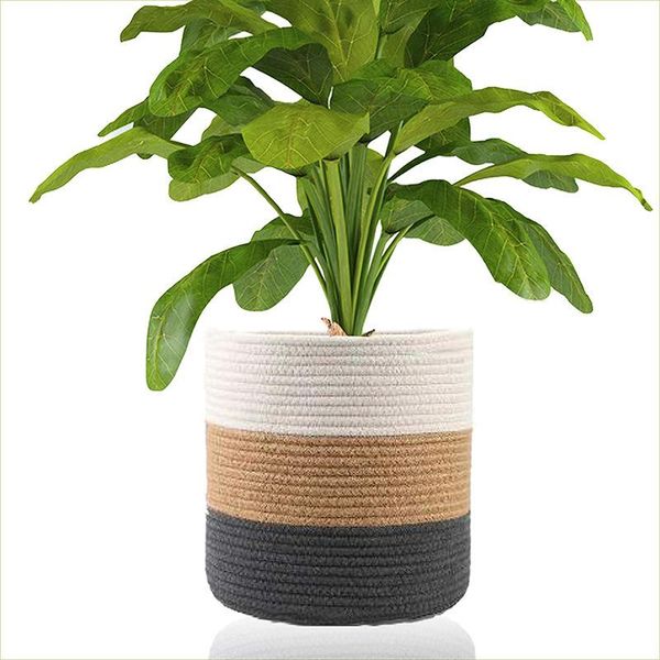 storage baskets handmade bamboo seagrass foldable woven box plant straw basket toy holder with white tassel organizer
storage baskets handmade bamboo seagrass foldable woven box plant straw basket toy holder with white tassel organizer