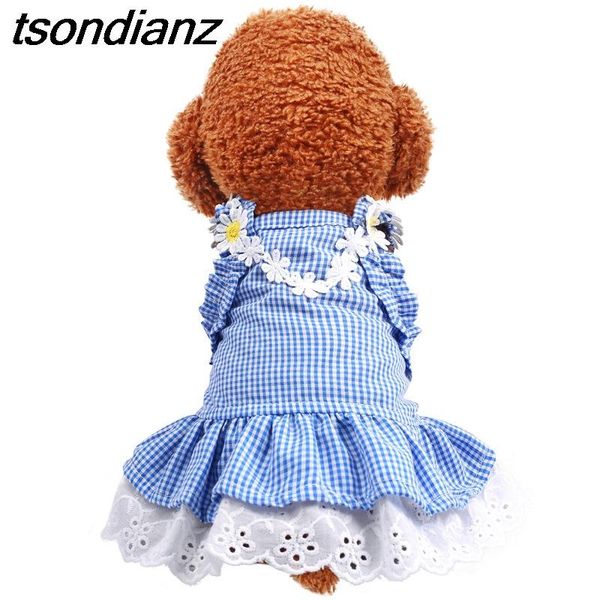 cat and dog clothes pet teddy puppy skirt vip than bear small puppies princess spring summer costumes
cat and dog clothes pet teddy puppy skirt vip than bear small puppies princess spring summer costumes