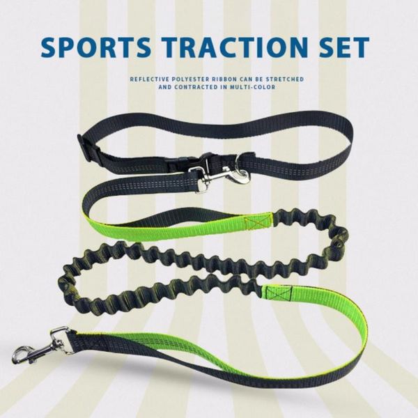 dog collars & leashes pet sports traction rope reflective leash running belt elastic hands y jogging pull supplies
dog collars & leashes pet sports traction rope reflective leash running belt elastic hands y jogging pull supplies
