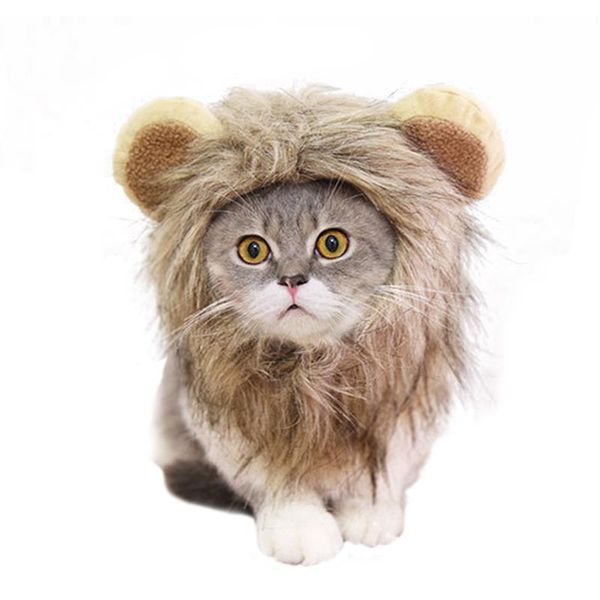 cat costumes costume christmas halloween pet headwear party cosplay lion special events apparel funny clothing kitty kitten headgear
cat costumes costume christmas halloween pet headwear party cosplay lion special events apparel funny clothing kitty kitten headgear
