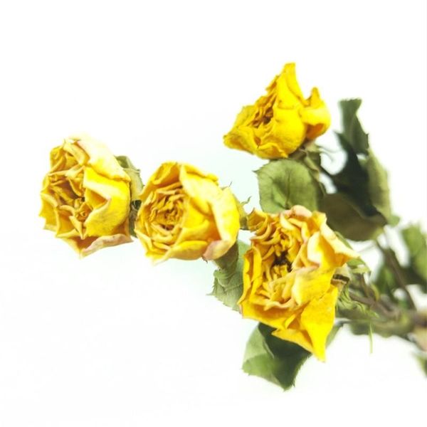 decorative flowers & wreaths real natural dried flower materials for bouquet matching home decor props creative diy wedding easter party bac
decorative flowers & wreaths real natural dried flower materials for bouquet matching home decor props creative diy wedding easter party bac