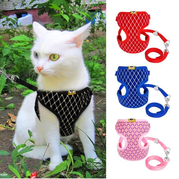 dog collars & leashes cute cat harness vest breathable mesh pet puppy and leash set small nylon soft chest strap for chihuahua pink
dog collars & leashes cute cat harness vest breathable mesh pet puppy and leash set small nylon soft chest strap for chihuahua pink
