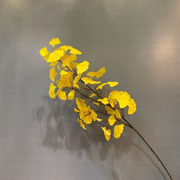decorative flowers & wreaths dry green plant leaves artificial leaf plants 98ccm silk natural festive supplies simulated ginkgo biloba branc
decorative flowers & wreaths dry green plant leaves artificial leaf plants 98ccm silk natural festive supplies simulated ginkgo biloba branc