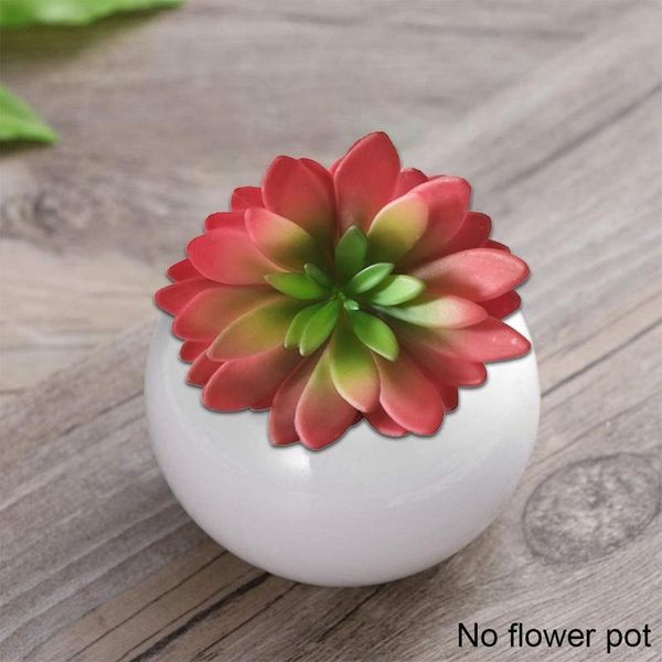 decorative flowers & wreaths mini cute succulent home garden decoration artificial with vase indoor office for plant desktable plants fake d
decorative flowers & wreaths mini cute succulent home garden decoration artificial with vase indoor office for plant desktable plants fake d