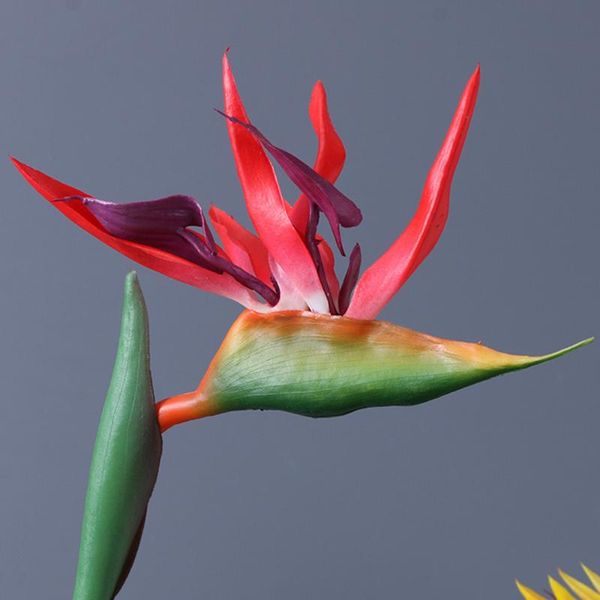 decorative flowers & wreaths artificial bird of paradise decoration home el living room real touch silk wedding party blossom f
decorative flowers & wreaths artificial bird of paradise decoration home el living room real touch silk wedding party blossom f