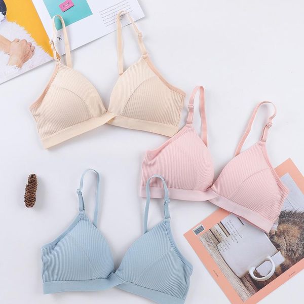 solid cotton bra summer crop push up adjustable beauty backless seamless gym bralette elastic underwear women yoga outfit
solid cotton bra summer crop push up adjustable beauty backless seamless gym bralette elastic underwear women yoga outfit