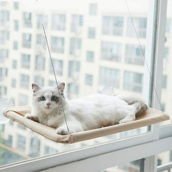 cat hammock bed detachable bearing 20kg window comfortable pet shelf supplies beds & furniture
cat hammock bed detachable bearing 20kg window comfortable pet shelf supplies beds & furniture