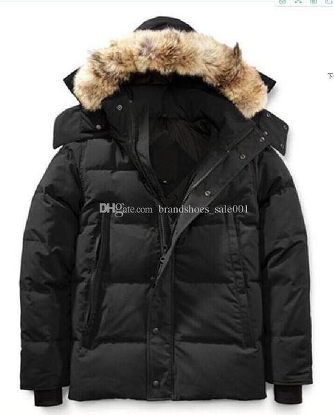 winter parka homme jassen chaquetas outerwear wolf fur hooded fourrure manteau wyndham canada down jacket coat hiver doudoune, Black
winter parka homme jassen chaquetas outerwear wolf fur hooded fourrure manteau wyndham canada down jacket coat hiver doudoune, Black