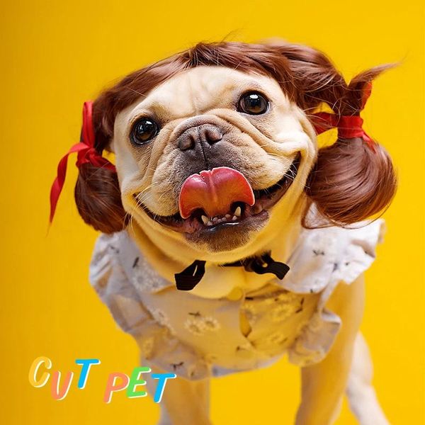 cat costumes pet wig cosplay props dog cross-dressing hair set pography funny head accessories prank supplies
cat costumes pet wig cosplay props dog cross-dressing hair set pography funny head accessories prank supplies