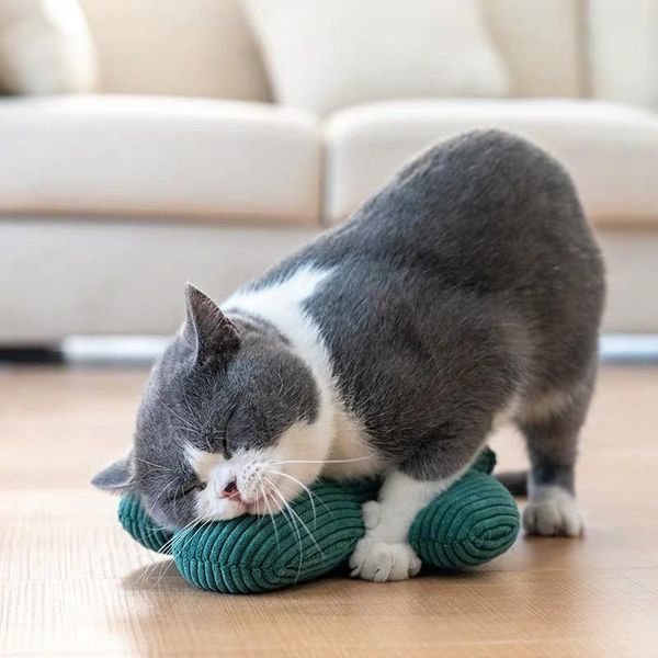 catnip filled cat toys (interactive for indoor cats, kitten toy, chew toy & cats) cats
catnip filled cat toys (interactive for indoor cats, kitten toy, chew toy & cats) cats
