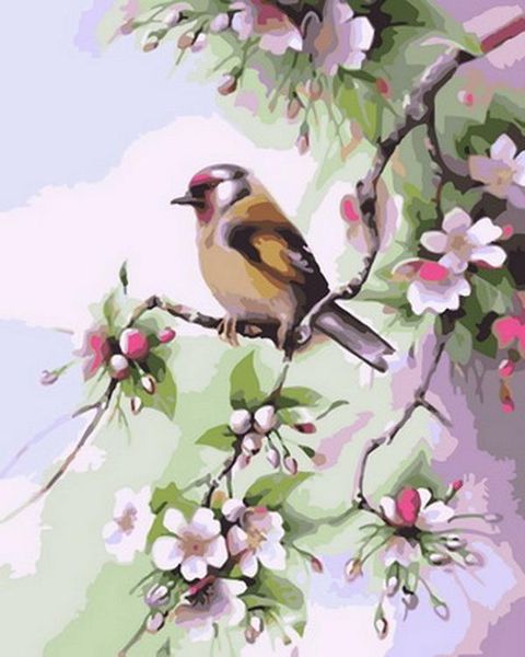 paintings frameless painting by numbers animals wall decor diy picture on canvas for home 4050cm bird the tree
paintings frameless painting by numbers animals wall decor diy picture on canvas for home 4050cm bird the tree