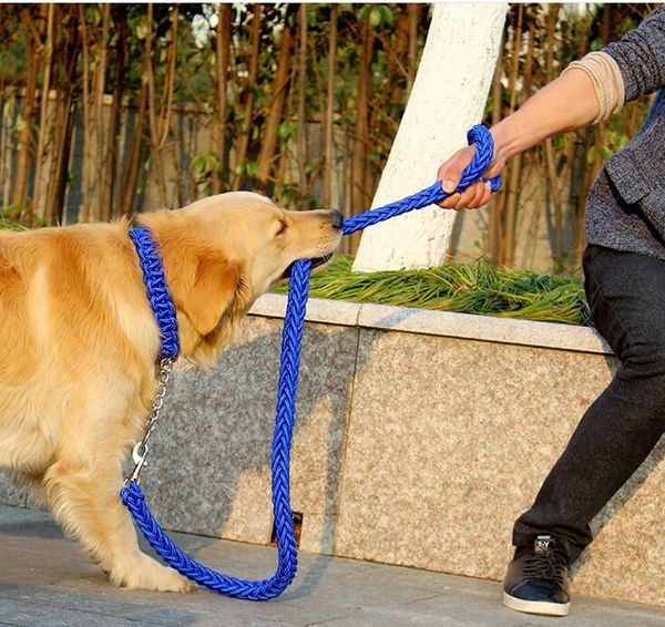 double strand rope large dog leashes metal p chain leash running nylon safety for medium dogs pets 120cm collars &
double strand rope large dog leashes metal p chain leash running nylon safety for medium dogs pets 120cm collars &