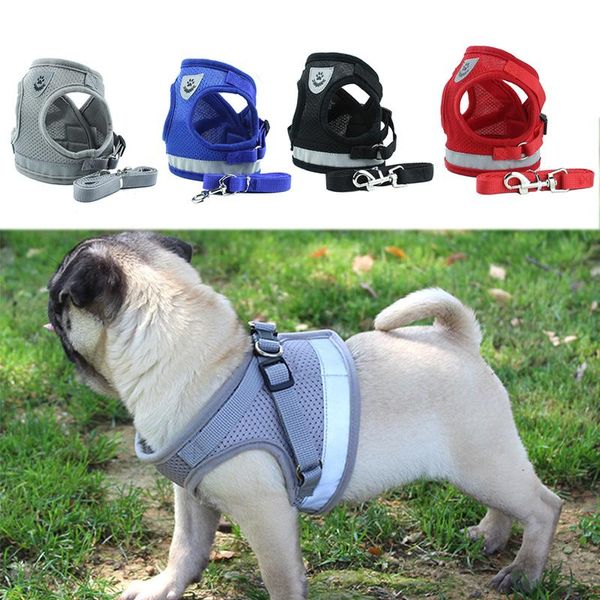 dog collars & leashes nylon mesh pug lead leash reflective small medium dogs 1pc harness vest pets supplies for chihuahua
dog collars & leashes nylon mesh pug lead leash reflective small medium dogs 1pc harness vest pets supplies for chihuahua