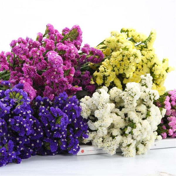 bundle 45-50cm forget-me-not dried flowers 100~150g diy wedding decoration party po props natural plant home decorative & wreaths
bundle 45-50cm forget-me-not dried flowers 100~150g diy wedding decoration party po props natural plant home decorative & wreaths