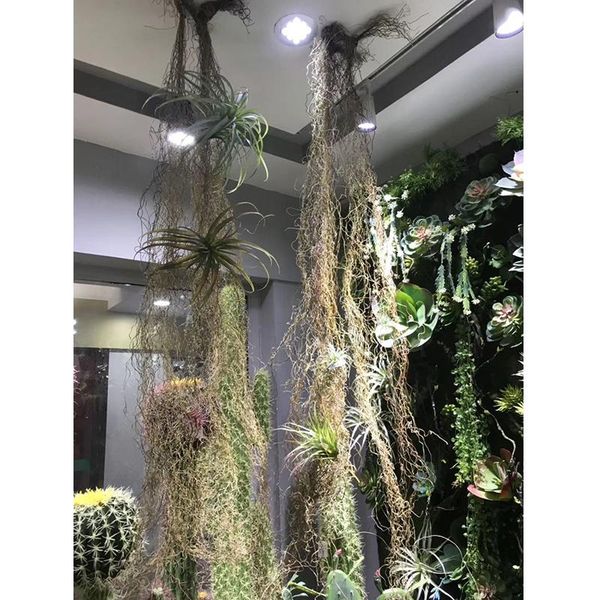 decorative flowers & wreaths 180 cm artificial dried grass vine wall hanging plant rattan for home garden wedding jungle party decor greener
decorative flowers & wreaths 180 cm artificial dried grass vine wall hanging plant rattan for home garden wedding jungle party decor greener