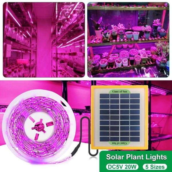 solar lamps panel led grow light full spectrum 5v strip 2835 phyto for plants greenhouse hydroponic growing
solar lamps panel led grow light full spectrum 5v strip 2835 phyto for plants greenhouse hydroponic growing