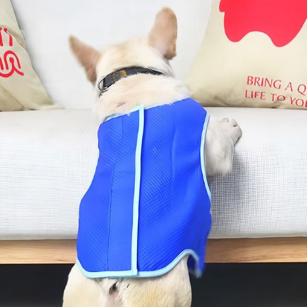 dog apparel cooling vest pva cooler jacket harness outdoor indoor summer clothing for small dogs puppy xs/s/m/l
dog apparel cooling vest pva cooler jacket harness outdoor indoor summer clothing for small dogs puppy xs/s/m/l