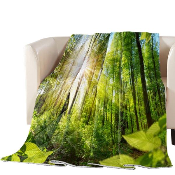 comforters & sets green forest sun natural landscape print camping summer quilts bedding duvet blanket for travel home decor soft bedspreads
comforters & sets green forest sun natural landscape print camping summer quilts bedding duvet blanket for travel home decor soft bedspreads