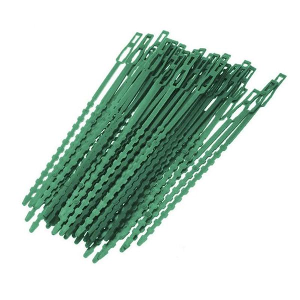 other garden supplies 50pcs convenient reusable cable ties plant support shrubs fastener tree locking nylon adjustable plastic
other garden supplies 50pcs convenient reusable cable ties plant support shrubs fastener tree locking nylon adjustable plastic