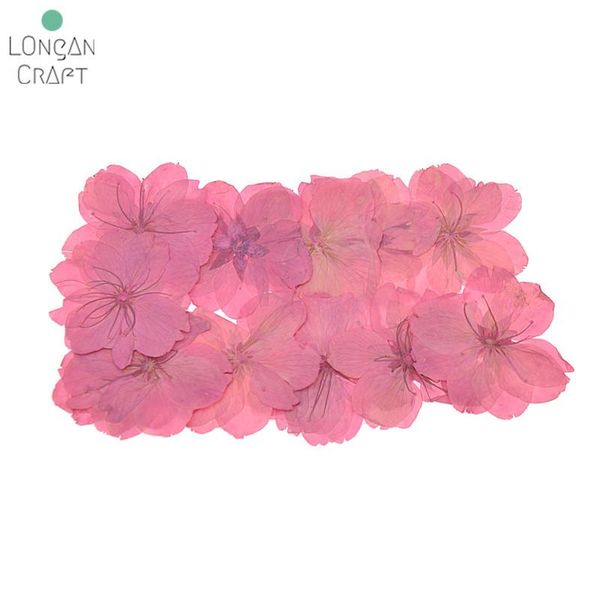 12pcs natural pressed dried sakura flower cherry blossom for diy arts crafts decorative flowers & wreaths
12pcs natural pressed dried sakura flower cherry blossom for diy arts crafts decorative flowers & wreaths