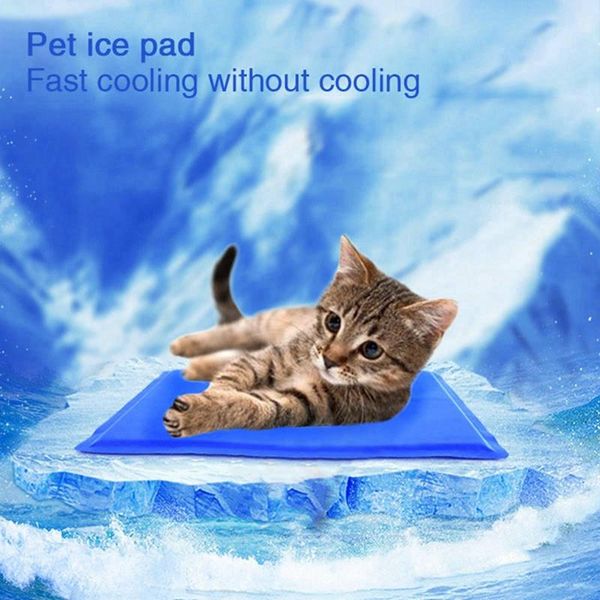 kennels & pens summer cooling mat cat dog ice breathable waterproof bed pad puppy gel sleeping blanket for dogs
kennels & pens summer cooling mat cat dog ice breathable waterproof bed pad puppy gel sleeping blanket for dogs