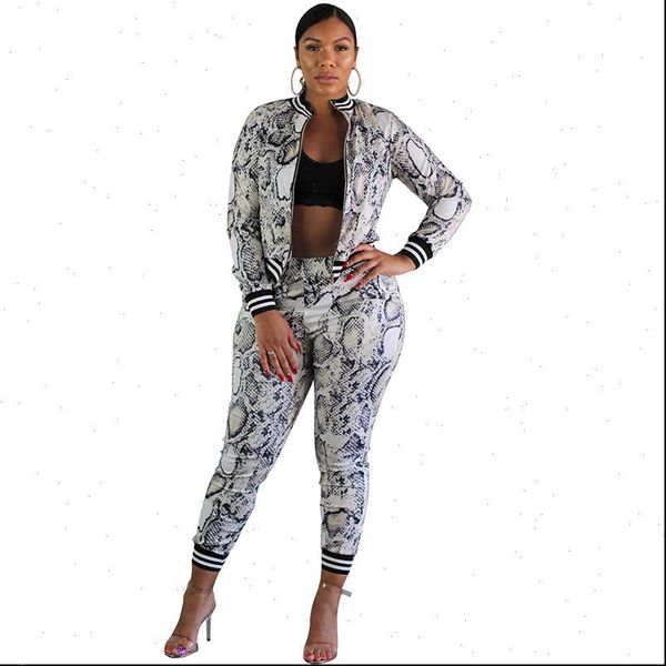 snakeskin print 2 piece outfits women tracksuits autumn long sleeve jacket and pants suits casual two matching, Gray
snakeskin print 2 piece outfits women tracksuits autumn long sleeve jacket and pants suits casual two matching, Gray