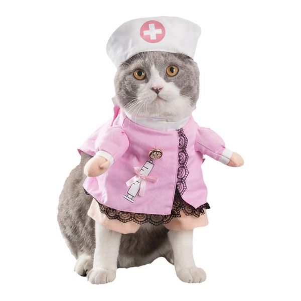 cat costumes spring and autumn pet cute funny cats dogs clothes standing transfiguration stereo
cat costumes spring and autumn pet cute funny cats dogs clothes standing transfiguration stereo