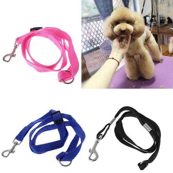 dog collars & leashes 1pc pet leash nylon cat grooming loop cable rope for beauty bathing home harnesses leads straps 3 colors
dog collars & leashes 1pc pet leash nylon cat grooming loop cable rope for beauty bathing home harnesses leads straps 3 colors