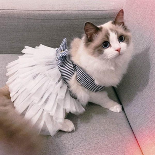 cat costumes striped clothes spring summer pet clothing for small cats dogs soft kitten kitty dress puppy outfit
cat costumes striped clothes spring summer pet clothing for small cats dogs soft kitten kitty dress puppy outfit
