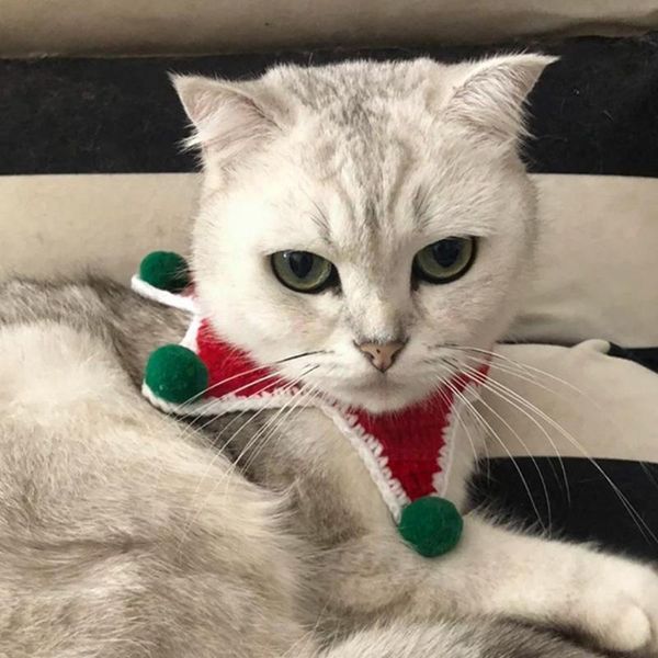 cat costumes pet scarf saliva towel christmas themed supplies tree bib elastic xmas collar cute dog shape g0x0
cat costumes pet scarf saliva towel christmas themed supplies tree bib elastic xmas collar cute dog shape g0x0