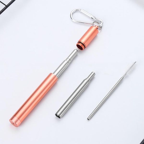 Reusable Stainless Steel Straws With Aluminum Keychain Case Cleaning Brush Collapsible Portable Drinking D
Reusable Stainless Steel Straws With Aluminum Keychain Case Cleaning Brush Collapsible Portable Drinking D