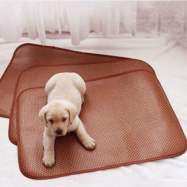 dog beds mats pet sleeping mat summer ice for dogs cat sleep pad bed cats houses large cama para cachorro kennels & pens
dog beds mats pet sleeping mat summer ice for dogs cat sleep pad bed cats houses large cama para cachorro kennels & pens