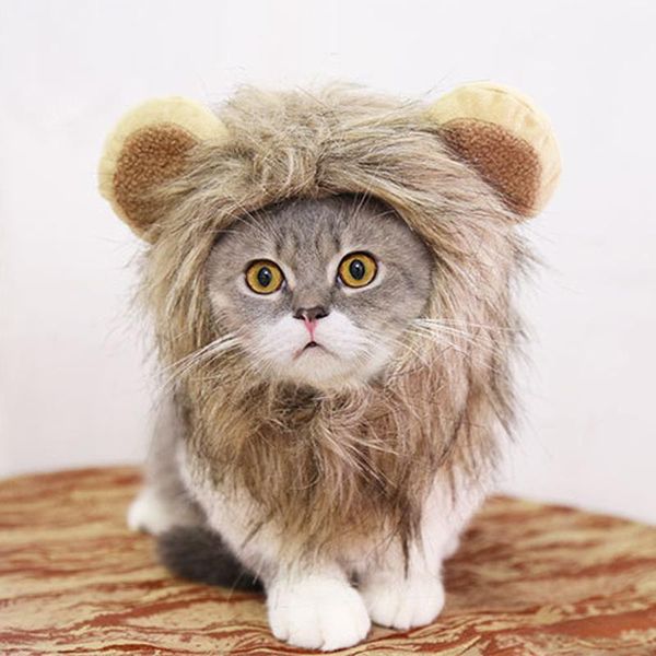 cat toys funny easter cute plush costume cap headdress hat with ears for cats and small dogs pet products 2021
cat toys funny easter cute plush costume cap headdress hat with ears for cats and small dogs pet products 2021